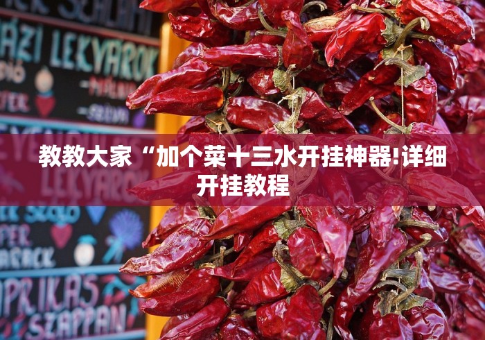 教教大家“加个菜十三水开挂神器!详细开挂教程