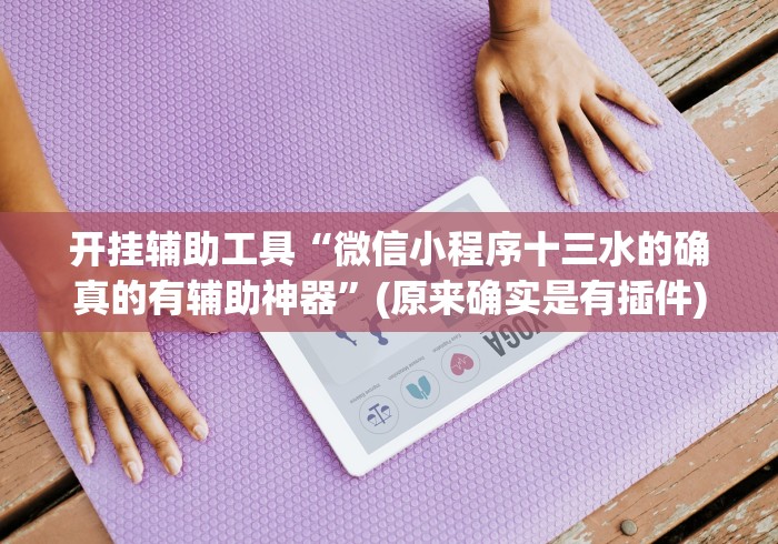 开挂辅助工具“微信小程序十三水的确真的有辅助神器”(原来确实是有插件)