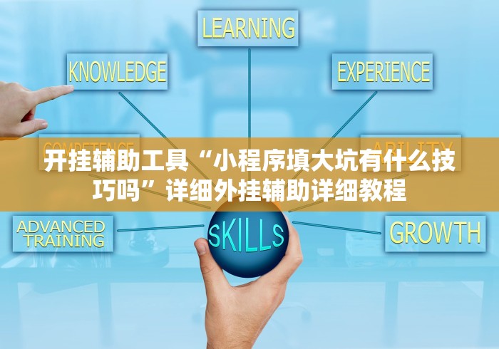 开挂辅助工具“小程序填大坑有什么技巧吗”详细外挂辅助详细教程