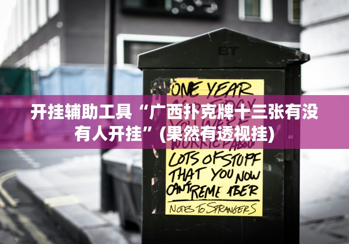 开挂辅助工具“广西扑克牌十三张有没有人开挂”(果然有透视挂)