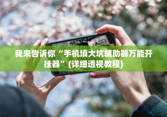 我来告诉你“手机填大坑辅助器万能开挂器”(详细透视教程)