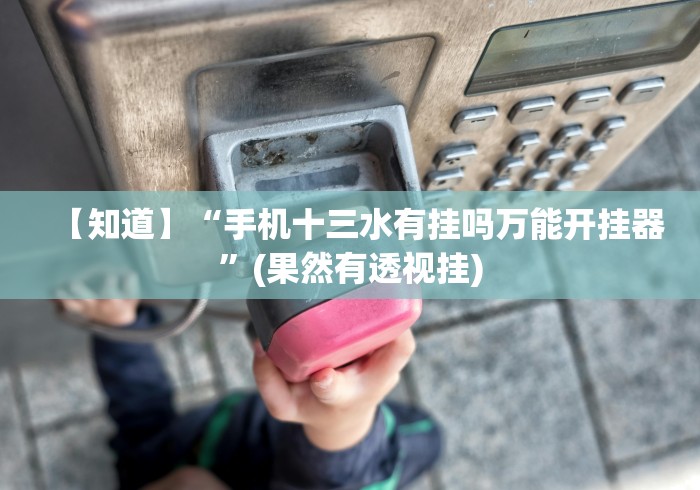 【知道】“手机十三水有挂吗万能开挂器”(果然有透视挂)