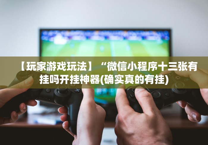 【玩家游戏玩法】“微信小程序十三张有挂吗开挂神器(确实真的有挂)